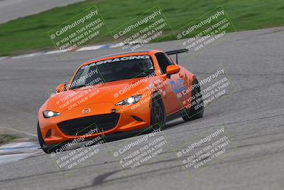 media/Jan-24-2026-Speed Ventures (Sat) [[516b58eadb]]/Yellow/Session 2 (Off Ramp)/